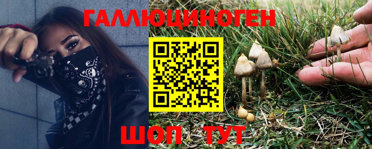 Галлюциногенные грибы Cubensis  Вход с VPN  Симферополь  Галлюциногенные грибы Magic Shrooms 