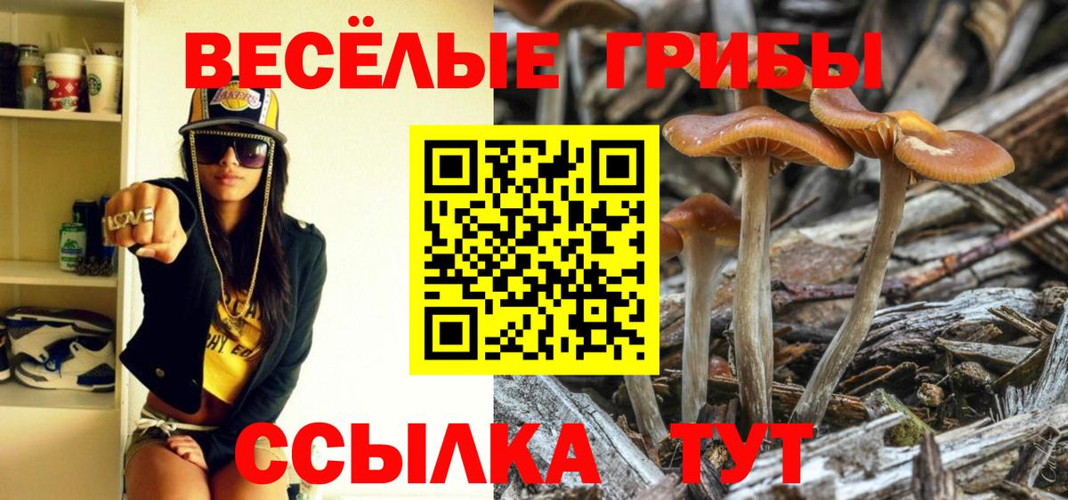 Галлюциногенные грибы Psilocybe Симферополь